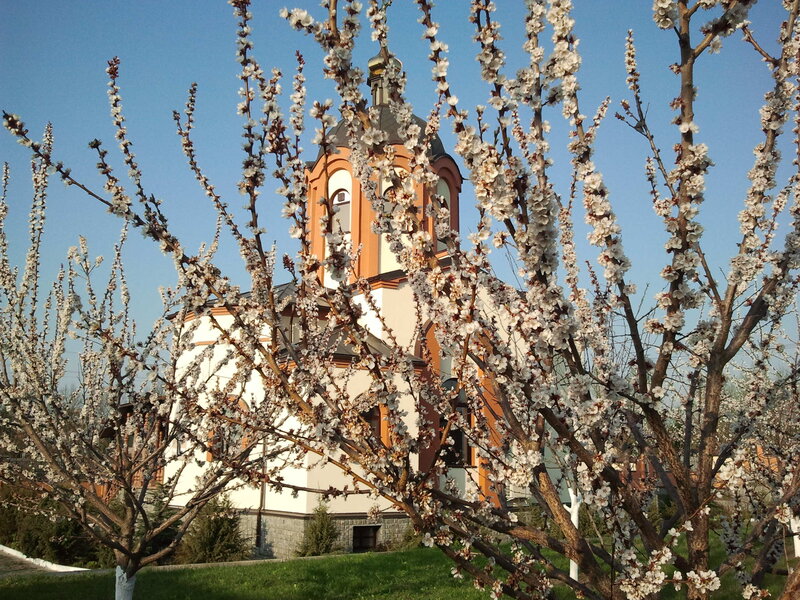 2013-04-27 07.29.26.jpg