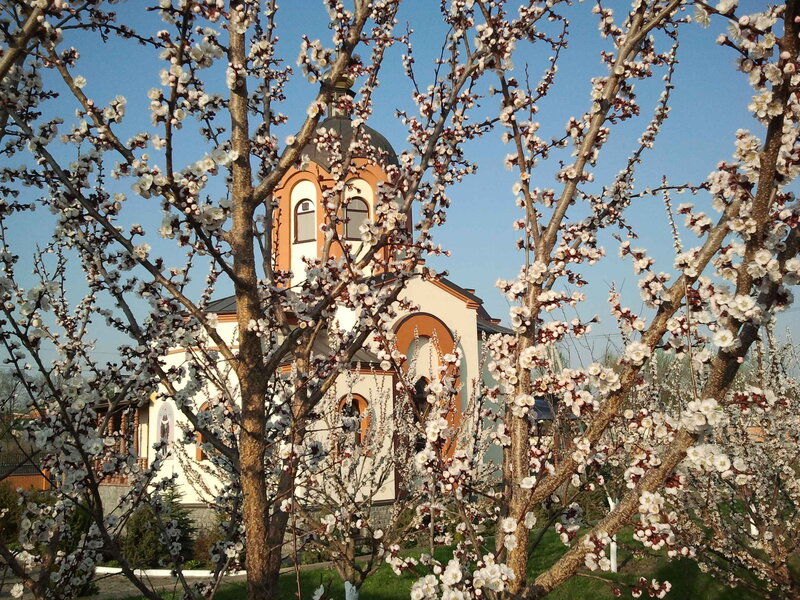 2013-04-27 07.30.03.jpg