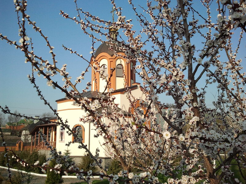 2013-04-27 07.29.08.jpg