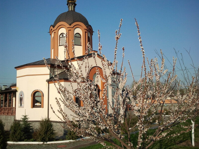 2013-04-27 07.30.51.jpg